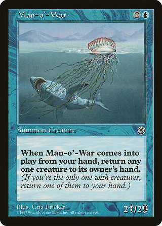 Man-o'-War image