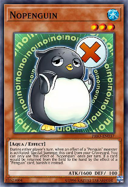 Pinguim Não
