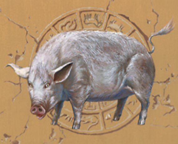 Zodiac Pig Crop image Wallpaper