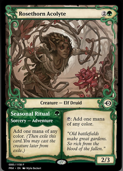 Rosethorn Acolyte // Seasonal Ritual image