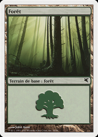 Forest image