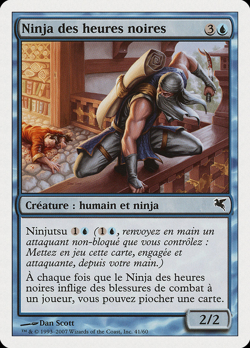 Ninja des heures noires