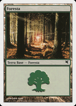 Foresta