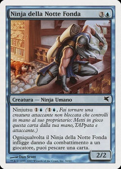 Ninja della Notte Fonda