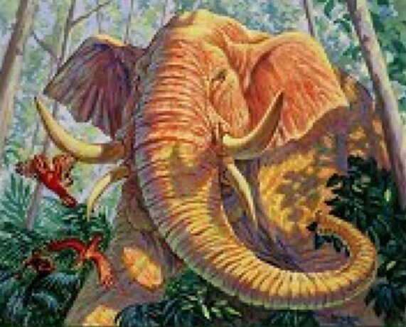 Lydari Elephant Crop image Wallpaper