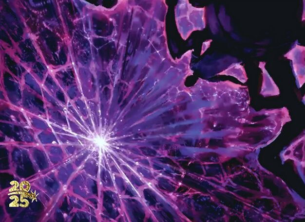 Web of Life and Destiny Crop image Wallpaper