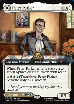 Peter Parker // O Espetacular Homem-Aranha image