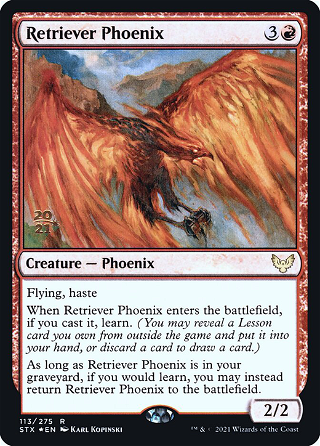 Retriever Phoenix image