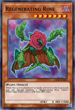 Regenerierende Rose