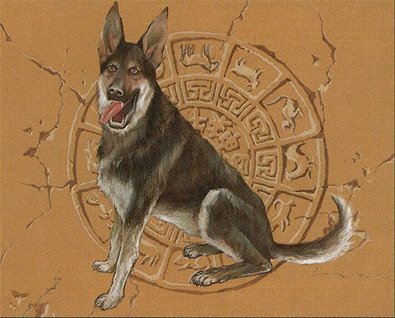 Zodiac Dog Crop image Wallpaper