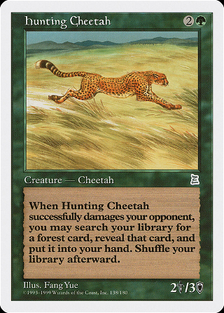 Hunting Cheetah image