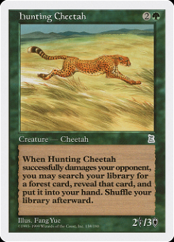 Caça-Cheetah