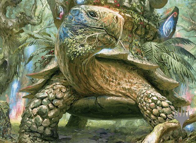 Blossoming Tortoise Crop image Wallpaper