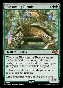 Расцветающая Черепаха image