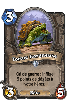Tortue hargneuse