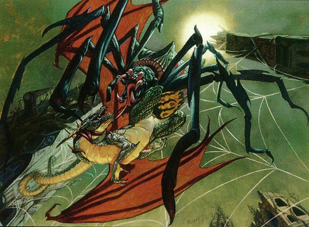 Goliath Spider Crop image Wallpaper