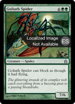 Araña Goliat