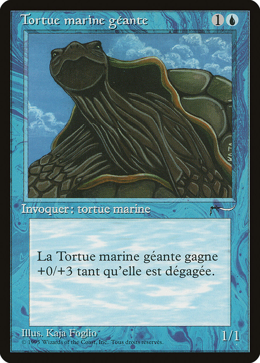 Tortue marine géante image