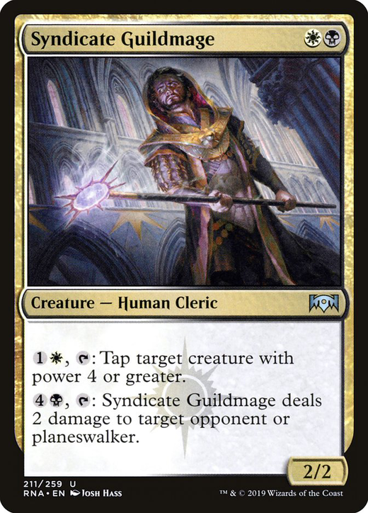 Syndicate Guildmage Full hd image