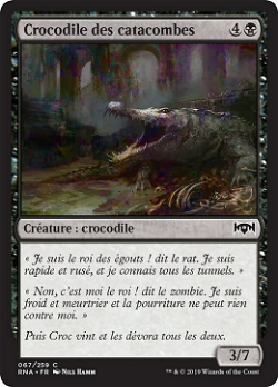 Crocodile des catacombes image