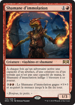 Immolation Shaman image