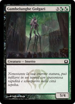 Gambelunghe Golgari image