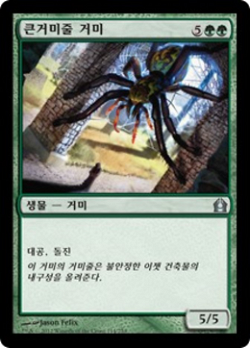 큰거미줄 거미 image