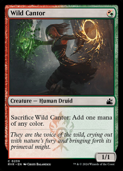 Wild Cantor image