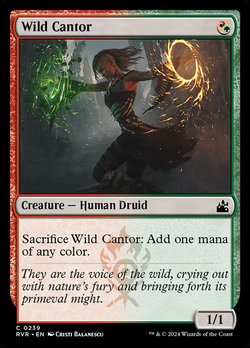 Wild Cantor image