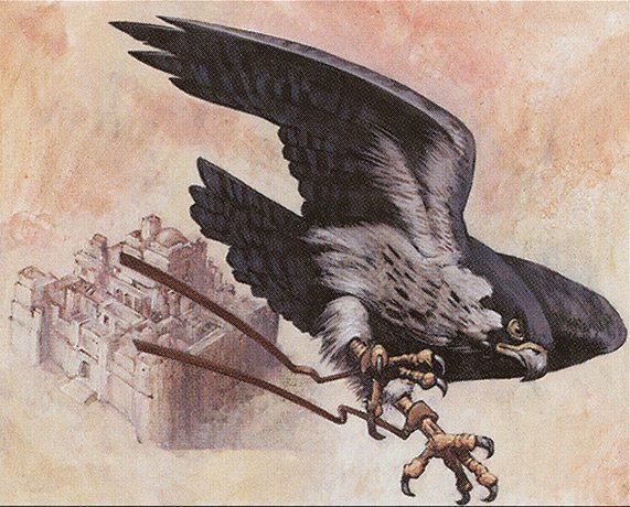 Royal Falcon Crop image Wallpaper