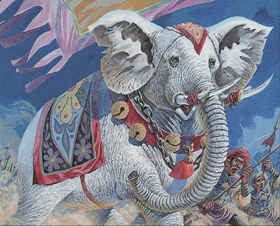 Southern Elephant Crop image Wallpaper