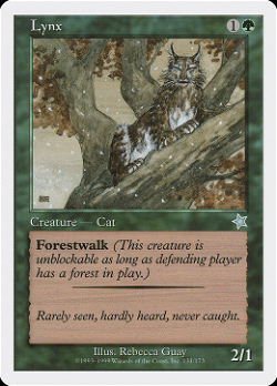 Lynx
山猫