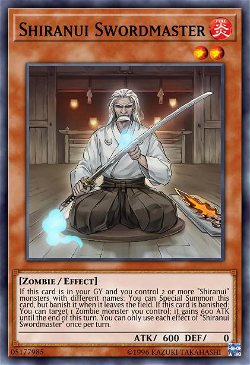 Mestre da Espada Shiranui