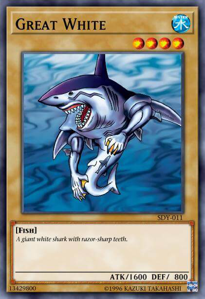 大白鲨 image