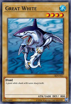 Gran Tiburón