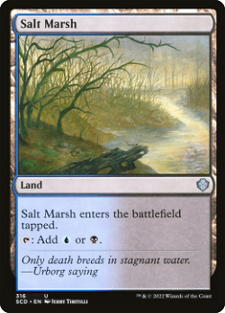 Salt Marsh image