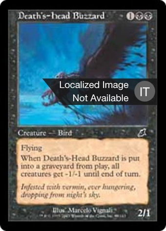 Death's-Head Buzzard Full hd image