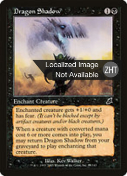 Dragon Shadow image