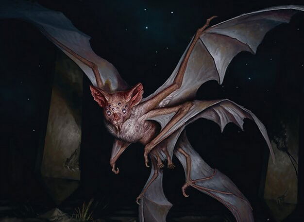 Deep-Cavern Bat Crop image Wallpaper