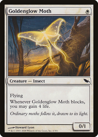 Goldenglow Moth image
