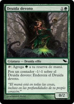 Druida devoto image