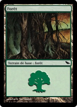 Forêt