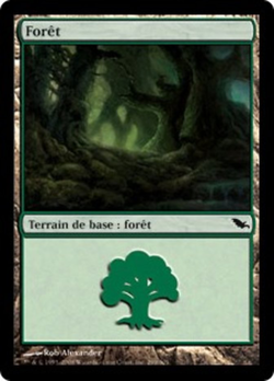 Forêt