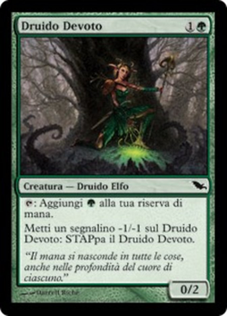 Druido Devoto image