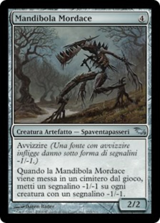 Lockjaw Snapper Full hd image