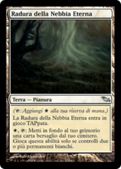 Radura della Nebbia Eterna image