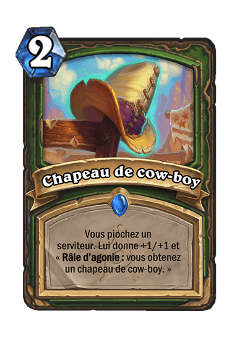 Chapeau de cow-boy