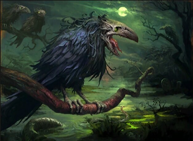 Crow of Dark Tidings Crop image Wallpaper