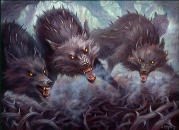 Thornhide Wolves Crop image Wallpaper