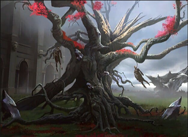 Tree of Perdition Crop image Wallpaper